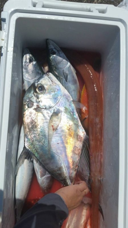 第五慶門丸 釣果