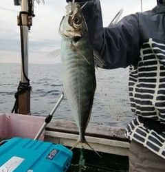 松福丸 釣果
