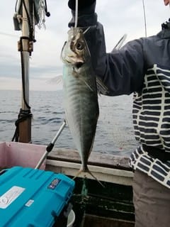 松福丸 釣果