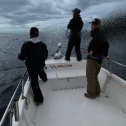 Magic（マジック） 釣果