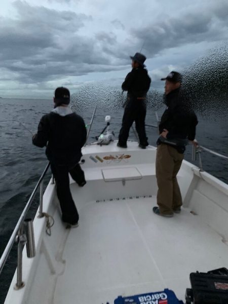 Magic（マジック） 釣果