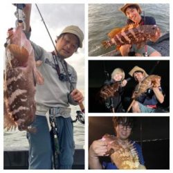 シーマジカル 釣果