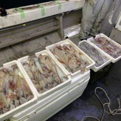 第八大安丸 釣果