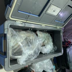 第八大安丸 釣果