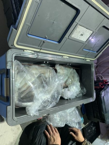 第八大安丸 釣果