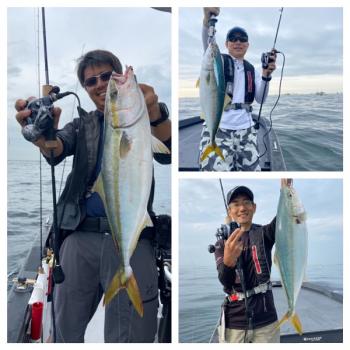 シーマジカル 釣果