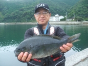 春日丸 釣果