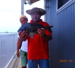 鹿島港魚釣園 釣果