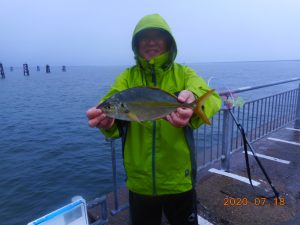 鹿島港魚釣園 釣果