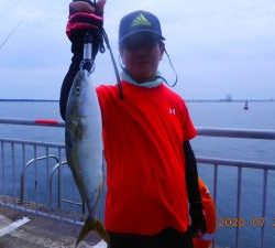 鹿島港魚釣園 釣果
