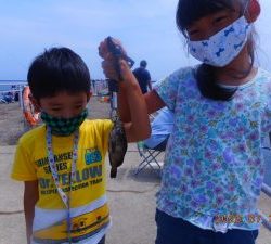 鹿島港魚釣園 釣果