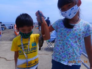鹿島港魚釣園 釣果