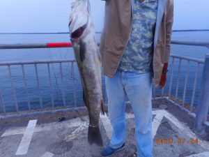 鹿島港魚釣園 釣果