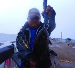 鹿島港魚釣園 釣果