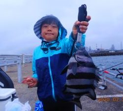 鹿島港魚釣園 釣果