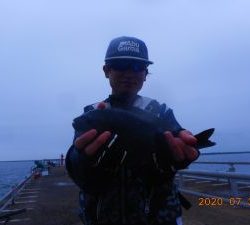 鹿島港魚釣園 釣果