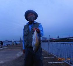 鹿島港魚釣園 釣果