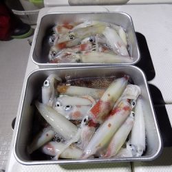 フィッシングボート空風(そらかぜ) 釣果