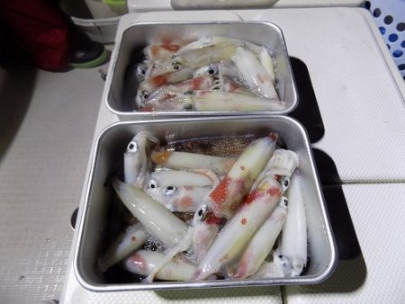 フィッシングボート空風(そらかぜ) 釣果