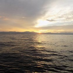 フィッシングボート空風（そらかぜ） 釣果