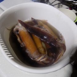 フィッシングボート空風(そらかぜ) 釣果