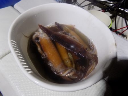 フィッシングボート空風(そらかぜ) 釣果