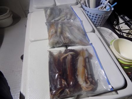 フィッシングボート空風(そらかぜ) 釣果