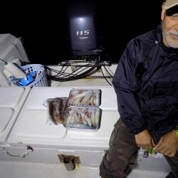 フィッシングボート空風(そらかぜ) 釣果