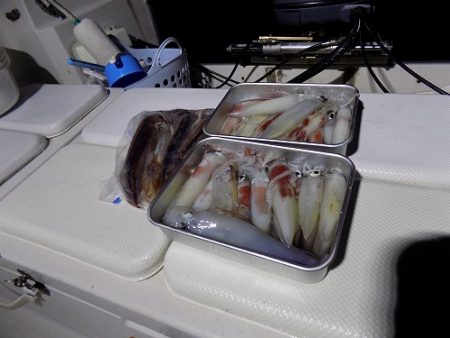 フィッシングボート空風(そらかぜ) 釣果