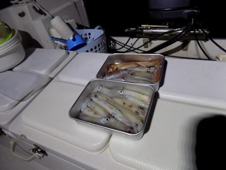 フィッシングボート空風(そらかぜ) 釣果