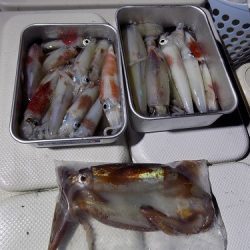 フィッシングボート空風(そらかぜ) 釣果