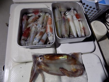 フィッシングボート空風(そらかぜ) 釣果