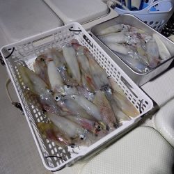 フィッシングボート空風(そらかぜ) 釣果