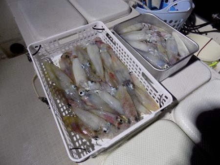 フィッシングボート空風(そらかぜ) 釣果