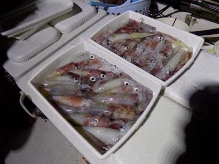 フィッシングボート空風(そらかぜ) 釣果