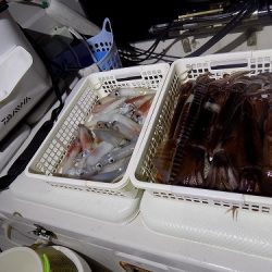 フィッシングボート空風(そらかぜ) 釣果