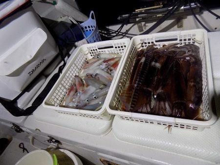 フィッシングボート空風(そらかぜ) 釣果