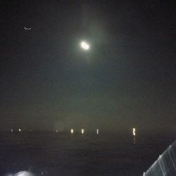 フィッシングボート空風(そらかぜ) 釣果