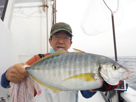 舵丸 釣果