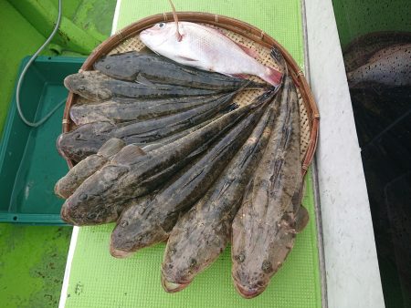 深川 吉野屋 釣果