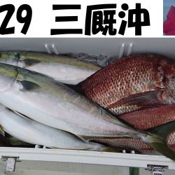釣り船一番星 釣果
