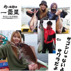 釣り船一番星 釣果