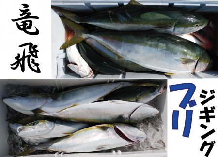 釣り船一番星 釣果