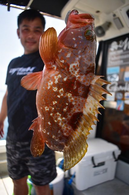 Fisherman Dreams DI 釣果