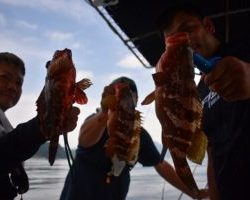 Fisherman Dreams DI 釣果