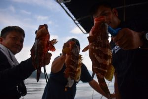 Fisherman Dreams DI 釣果