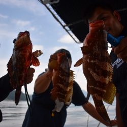 Fisherman Dreams DI 釣果