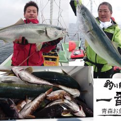 釣り船一番星 釣果