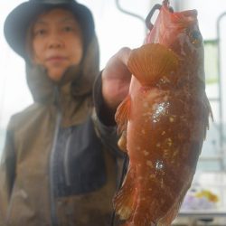 Fisherman Dreams DI 釣果