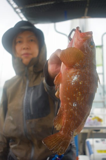 Fisherman Dreams DI 釣…